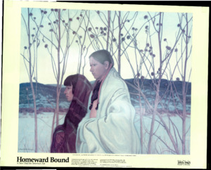 Homeward_Bound_New_Deal_Art_Merged.pdf