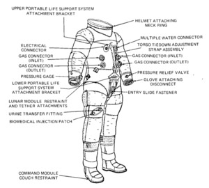 Torso Limb Suit Assembly.png