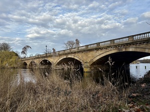 serpentine-photo.jpeg